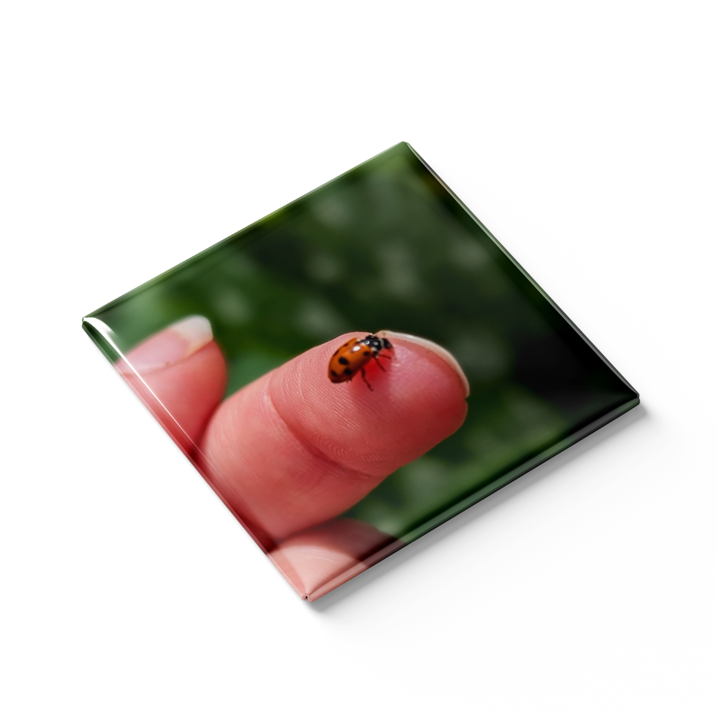 Square Custom Photo Magnets 5cmx5cm