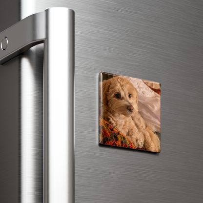 Stainless steel refrigerator with a magnet featuring a dog on a gray background