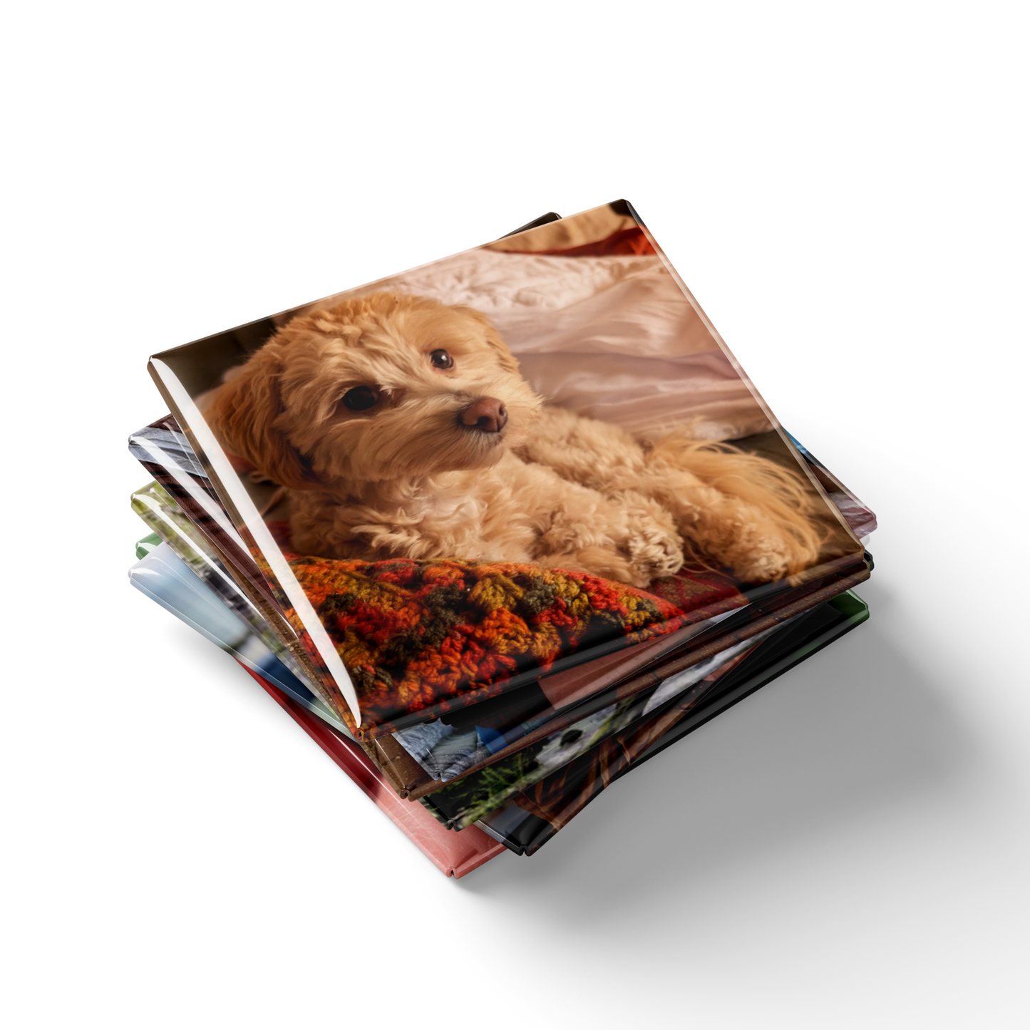 Stack of photo magnets with a dog on the cover on a white background